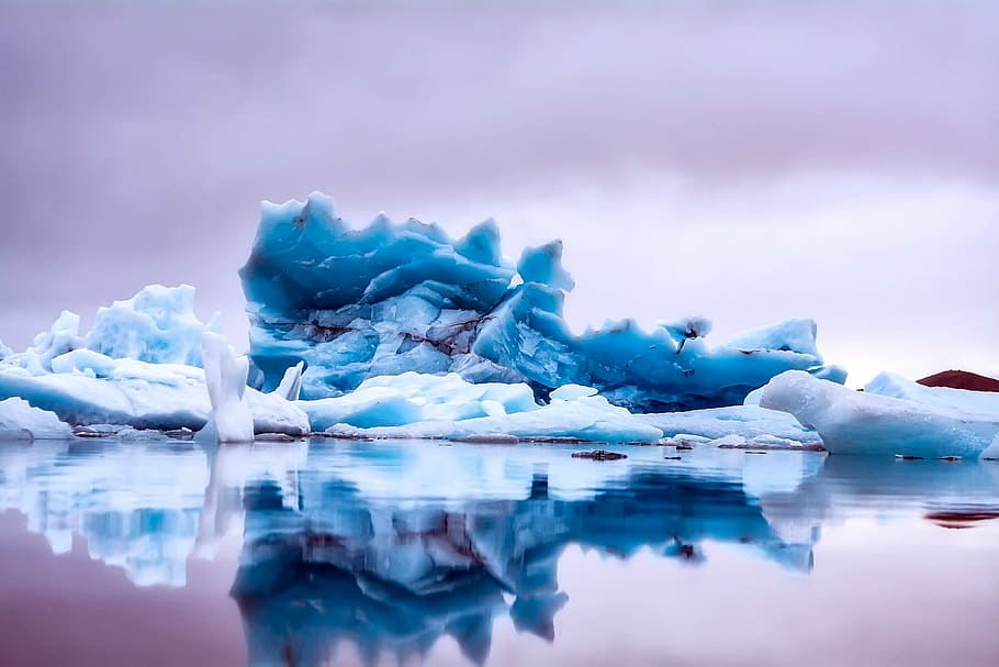 dangkal, fotografi fokus es berg, islandia, es, gunung es, laut, lautan, air, refleksi, biru
