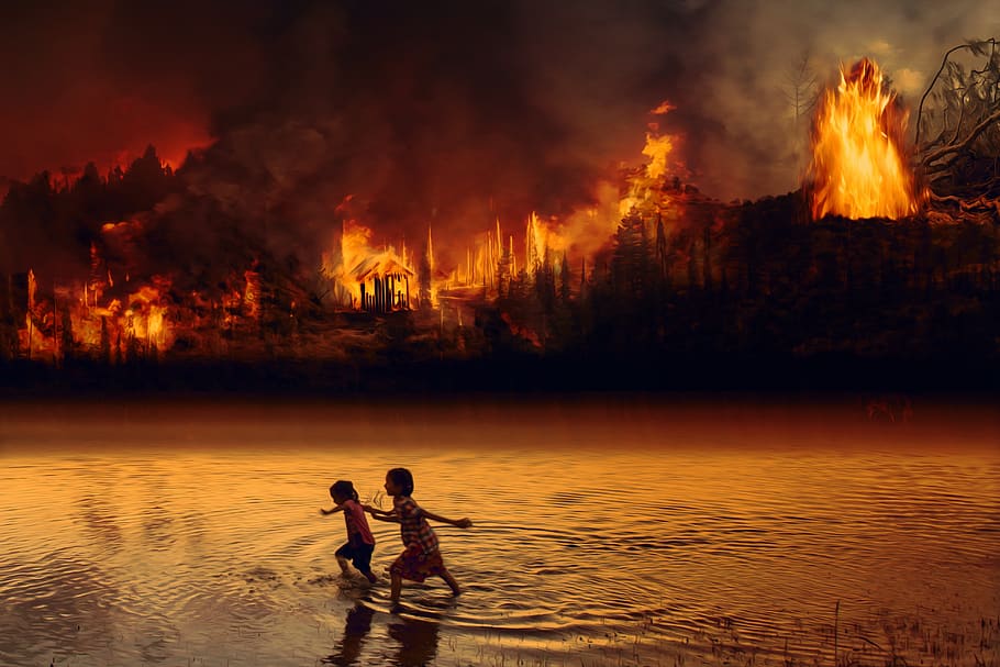 fire, forest fire, children, fear, flame, amazon, rainforest, wilderness, nature, destruction
