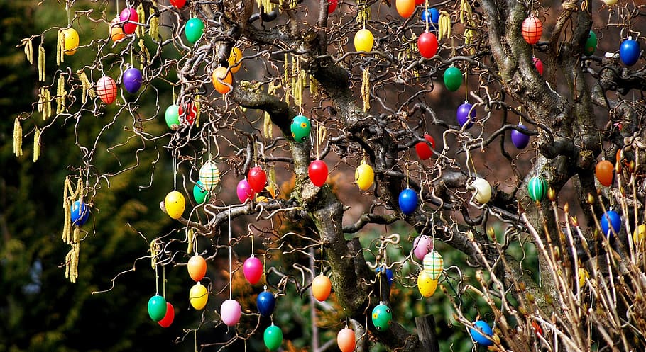 easter, bush, garden, easter eggs on tree, easter decorations, egg, multi Colored, hanging, day, full frame