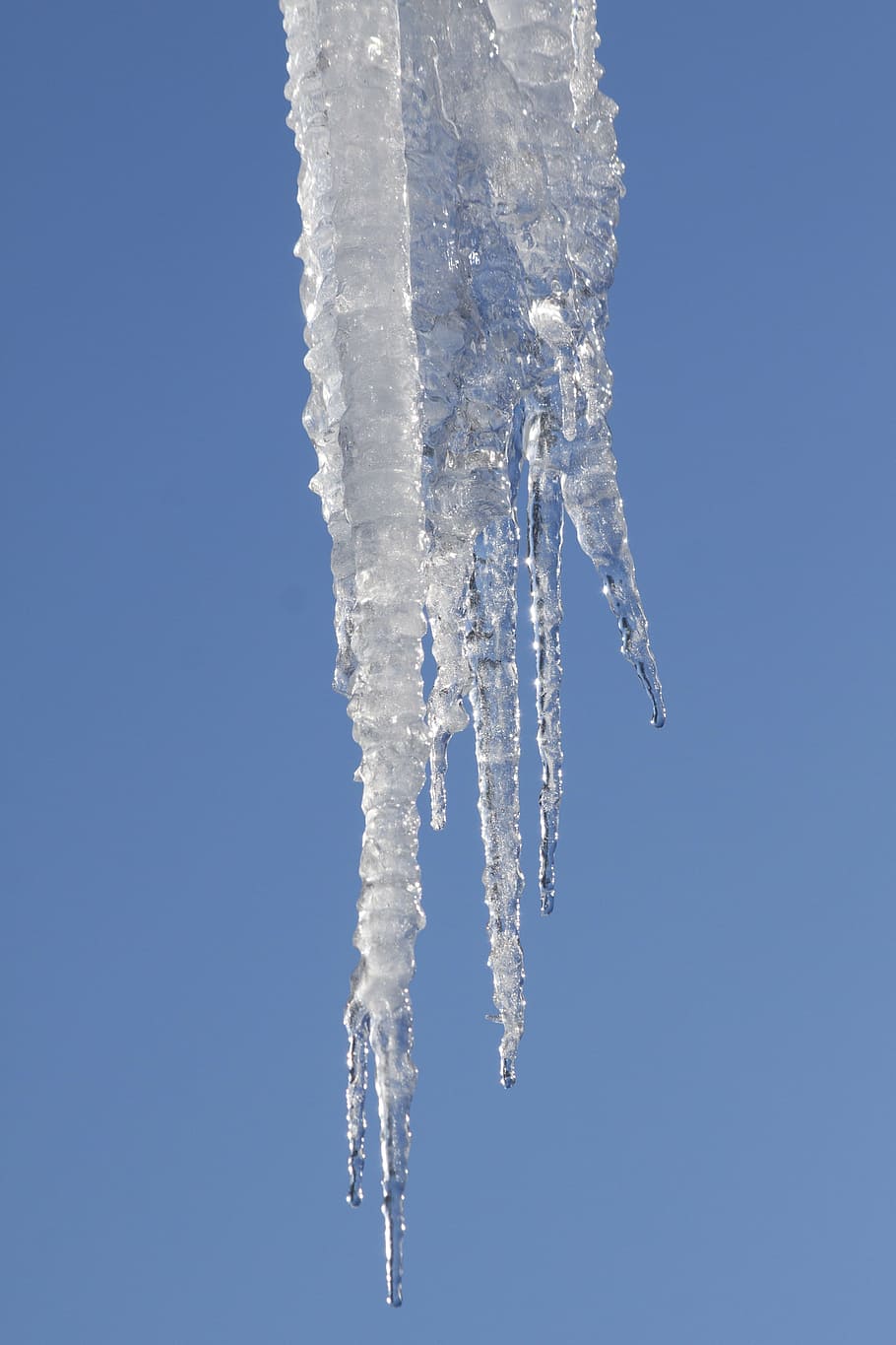 pointed ice, ice, icicle, cold, winter, white, blue, frost, snow, frozen