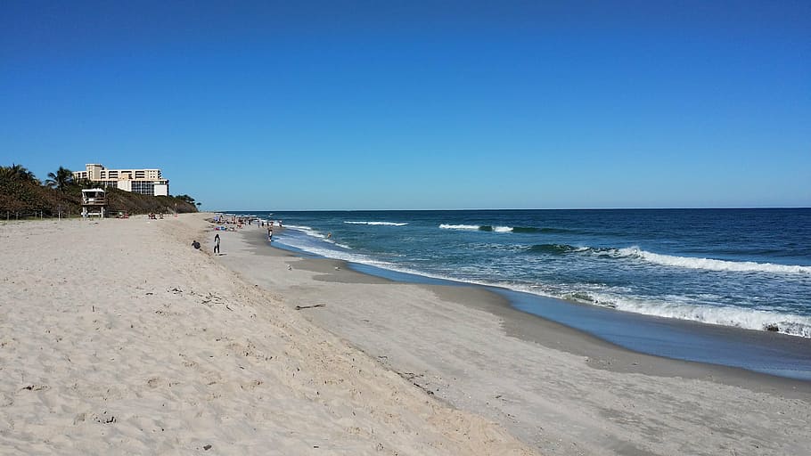 florida, beach, jupiter beach, waves, sand, shells, travel, tourism, landmark, landscape