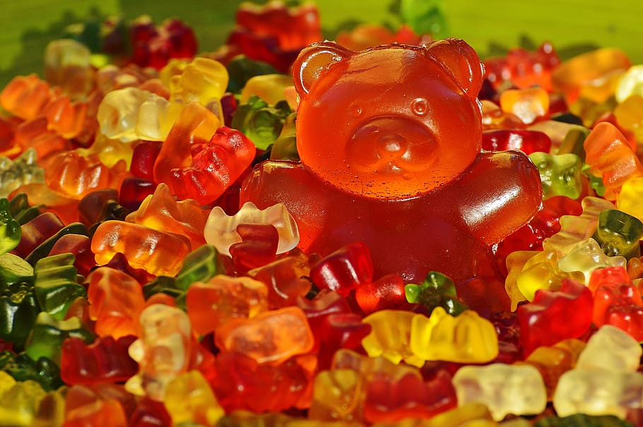 minifigura de urso pardo, urso de borracha gigante, goma de mascar, gomas de frutas, urso, delicioso, cor, colorido, doçura, ursos gummi