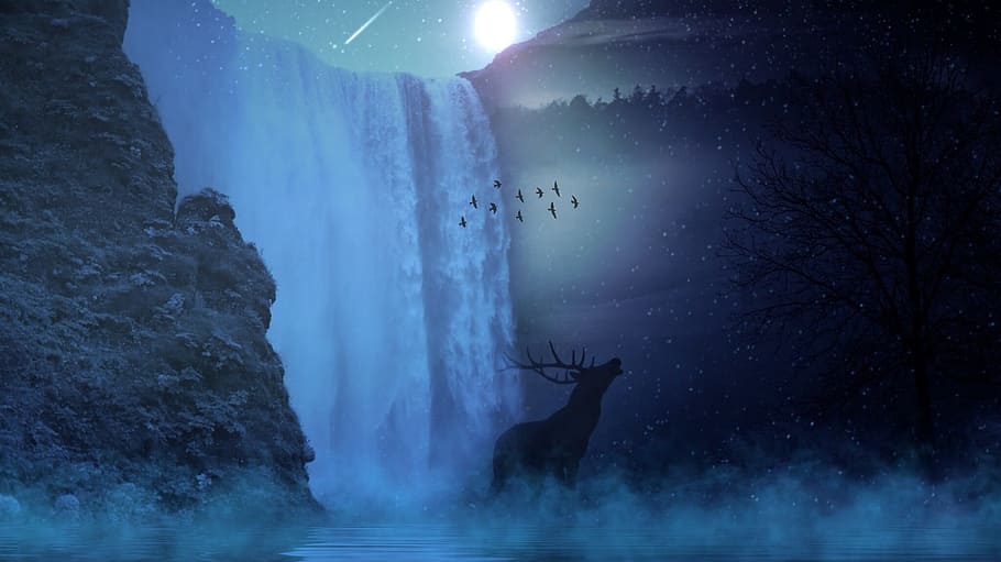 water fall, night time, Reindeer, hirsch, wild, sun, moon, star, waterfall, water