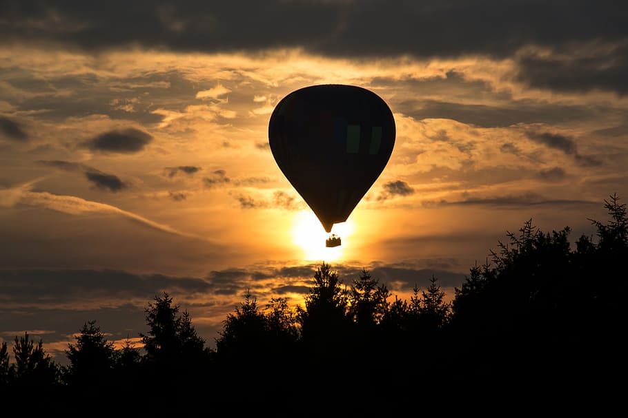 silhouette, hot, air balloon, golden, hour, balloon flight, balloon, sun, sunset, forest