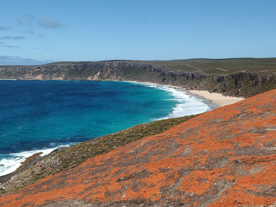 sea, australia, remarkable rocks, kangaroo island, lichen, alga, water, beauty in nature, scenics - nature, land