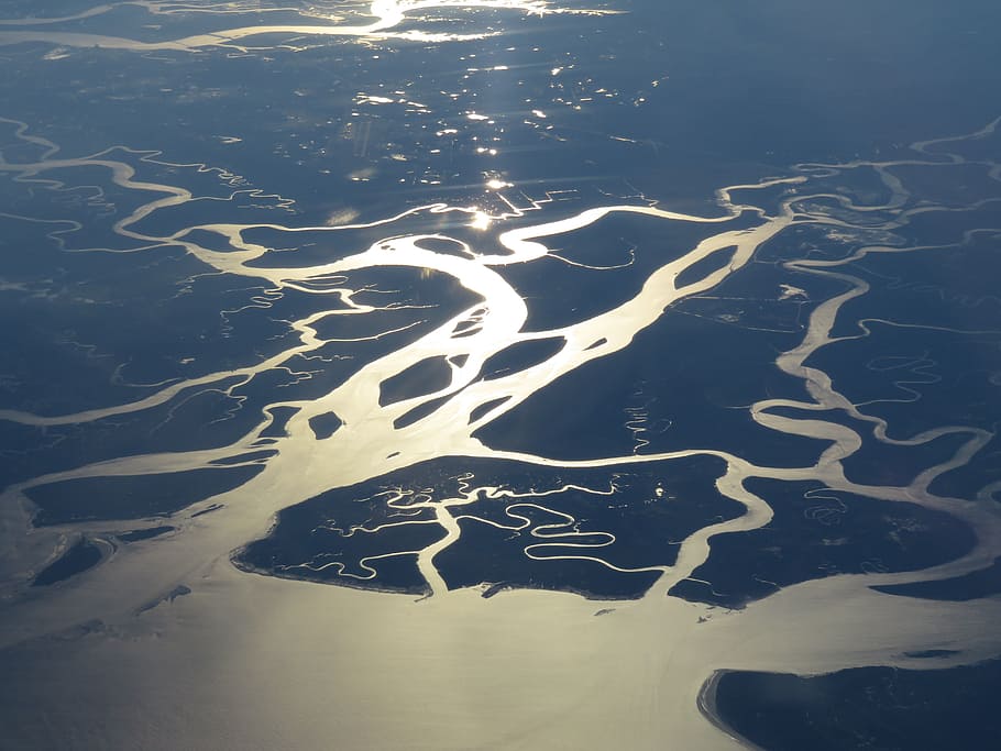 swamp, florida, wetland, river delta, everglades, water, aerial view, nature, beauty in nature, scenics - nature