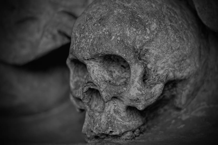 humano, foto en escala de grises de cabeza de cráneo, cráneo y tibias cruzadas, cráneo, muerto, esqueleto, mortal, piedra, escultura, iglesia