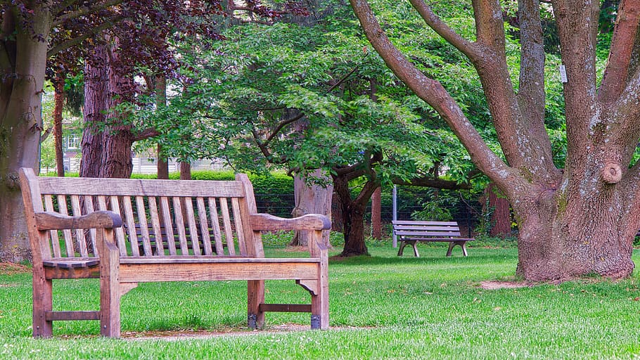 park bench, bank, wood, tree, garden, seat, rest, garden bench, benches, kurpark