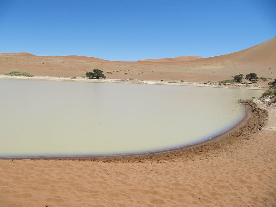 deadvlei, namib, desert, sossusvlei, landscape, sand, namibia, land, scenics - nature, sand dune