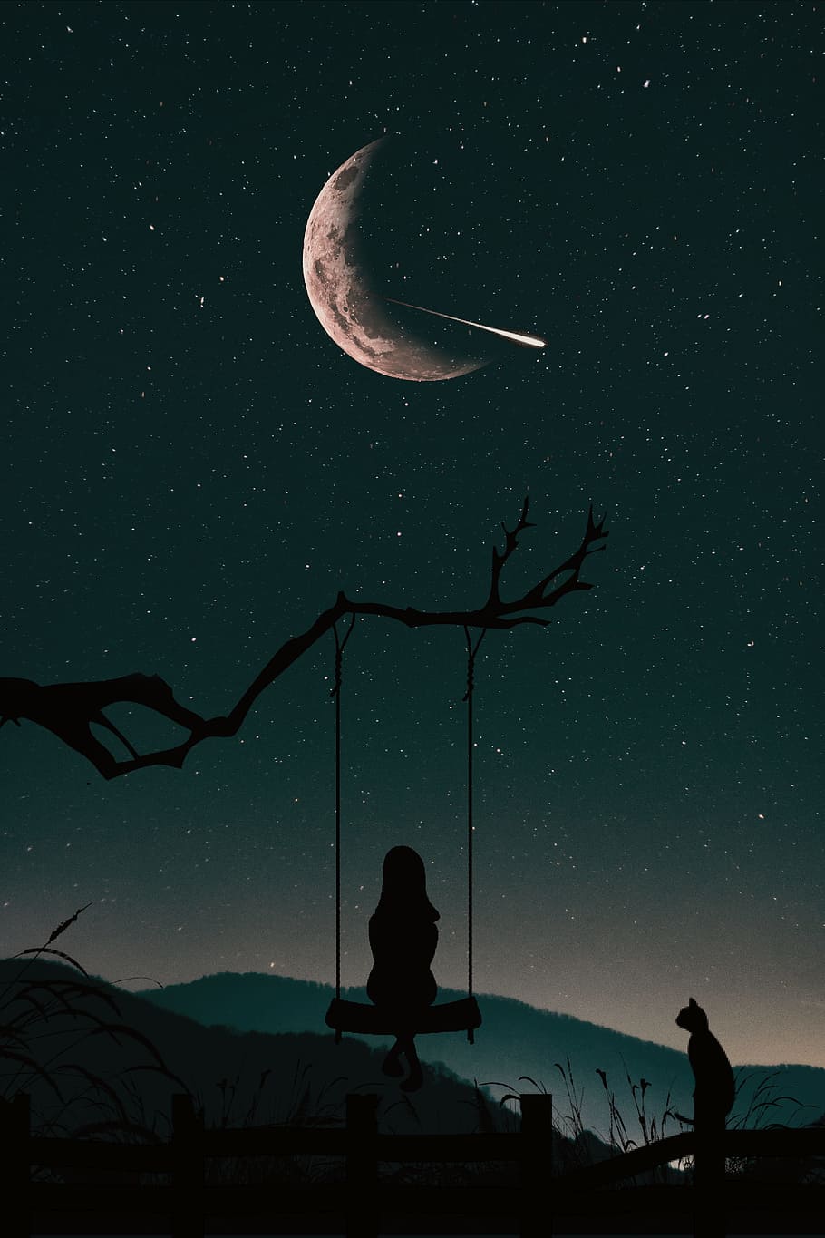 silhouette, girl, sitting, swing, fixed, tree branch, bright, starry night sky, crescent moon illustration, nature