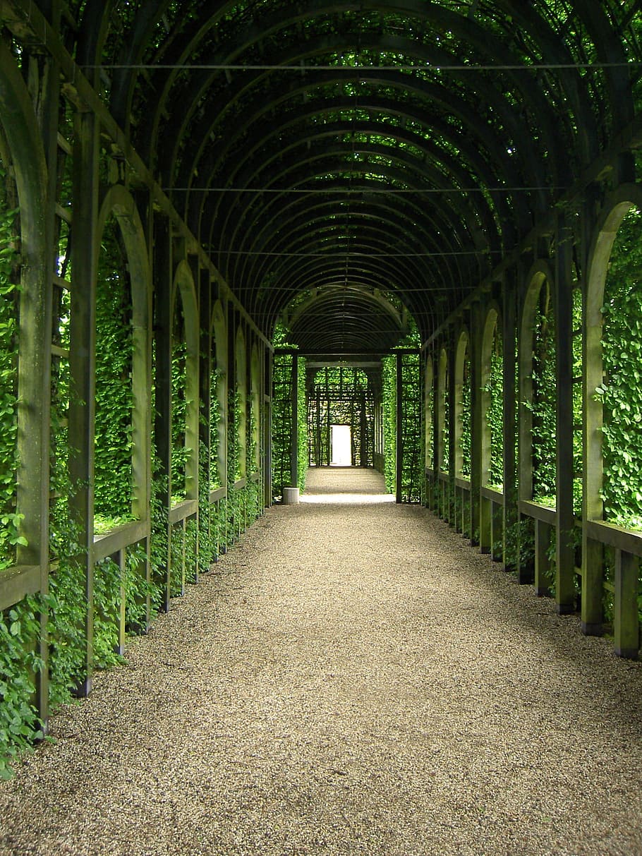 foto, pasillo, verde, plantas de hoja, hoja verde, plantas, palacio, jardín, luz, túnel