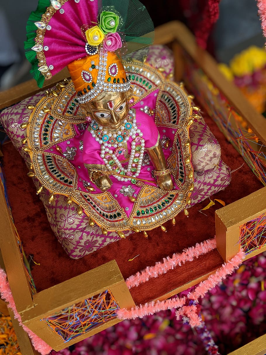 janmastami, perayaan, radha, krishna, shyam, tuhan, bunga, dihiasi, jai, shree
