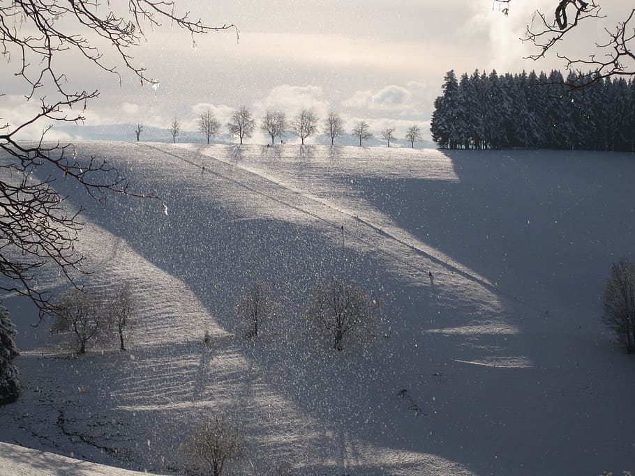 Antena, fotografía, colina, cubierto, nieve, durante el día, verde, árboles, nevadas, estado de ánimo de invierno