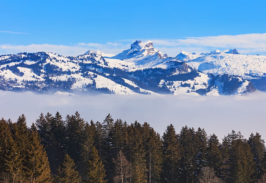 Swiss, Schwyz, musim dingin, pemandangan, lanskap, pohon, cemara, salju, awan, kabut