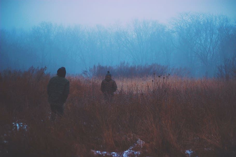 two, person, walking, grasses, foggy, season, man, wearing, winter, jacket