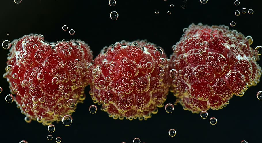 microorganism wallpaper, raspberries, underwater, food, red, water, air bubbles, gas bubbles, blubber, blow