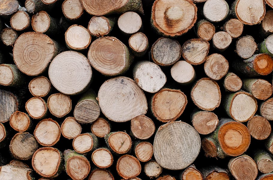 brown log lot, trees, lumber, timber, wood, wooden, material, nature, pine, pattern