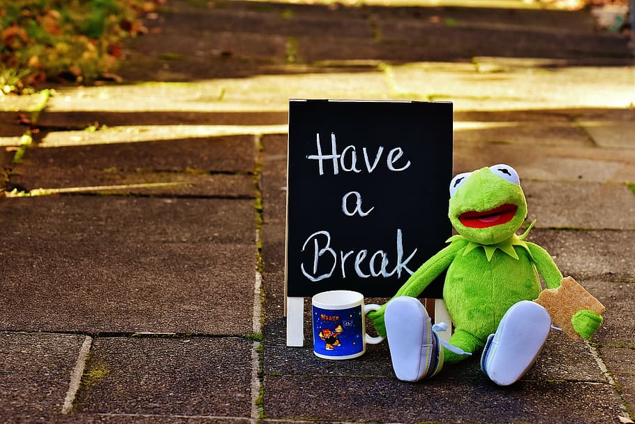 kermit, frog, plush, toy, black, white, break-printed chalkboard signage, cup, drink coffee, break