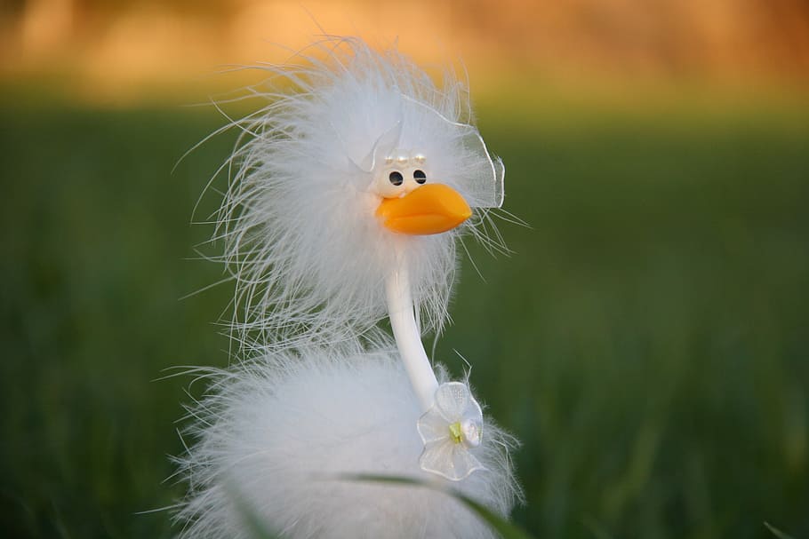 wedding, happiness, white, ostrich, plant, close-up, bird, focus on foreground, toy, nature