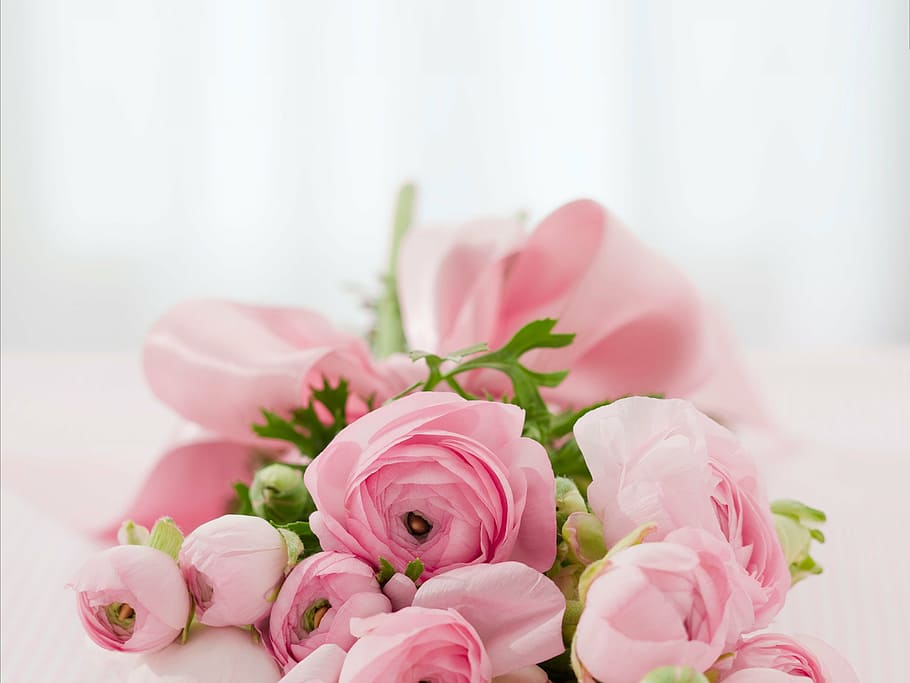 pink, peonies bouquet, closeup, roses, bouquet, congratulations, arrangement, flowers, nature, summer