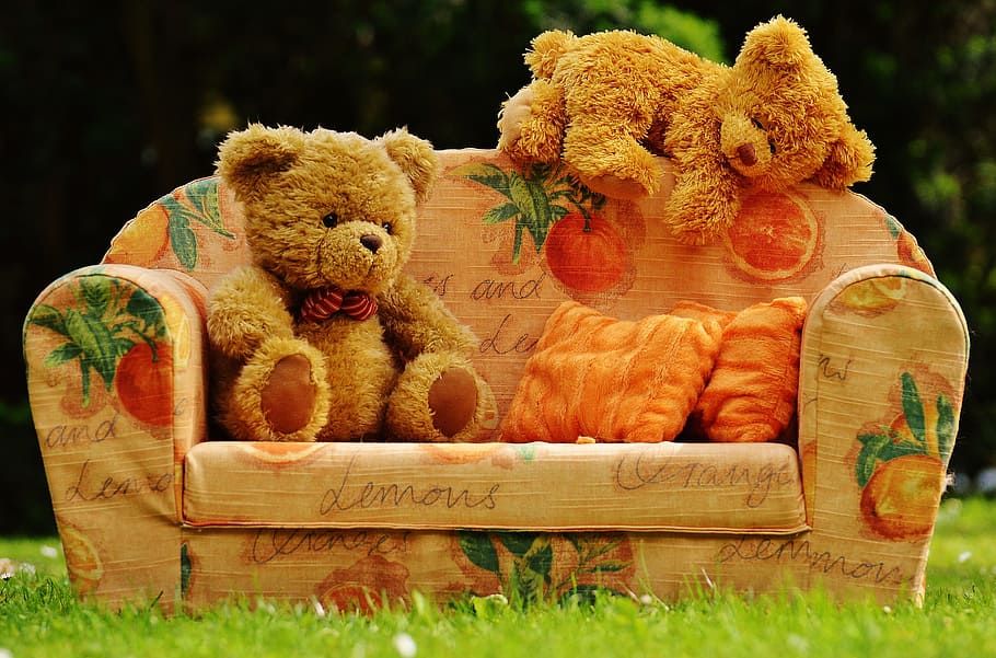 two, bear, plush, toys, sofa, bears, sweet, cute, teddy, funny