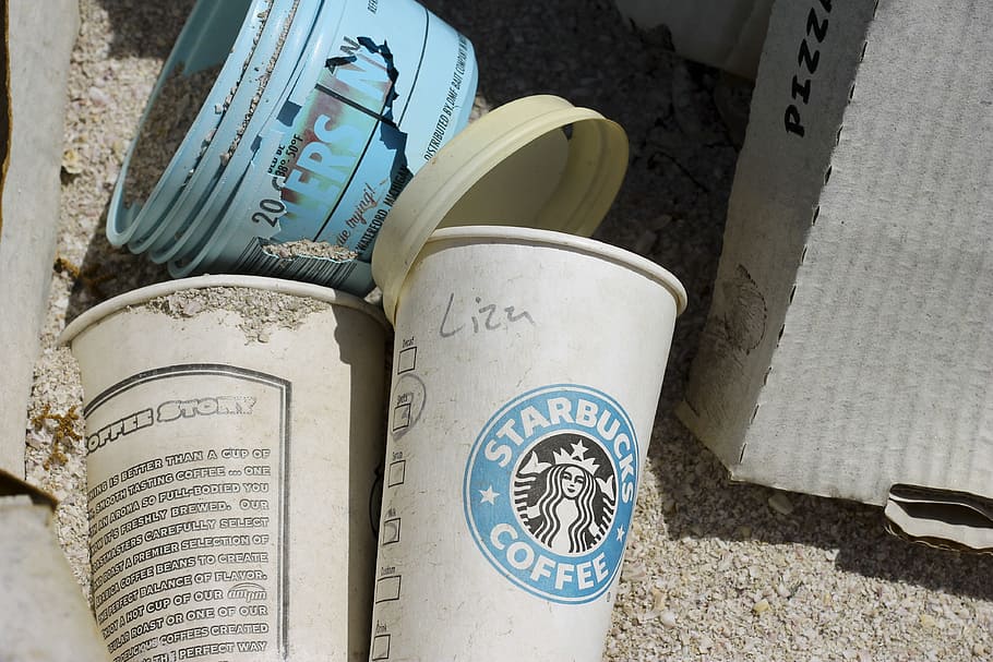 two, white, disposable, coffee cups, coffee, starbucks, trash, logo, desert, salton sea
