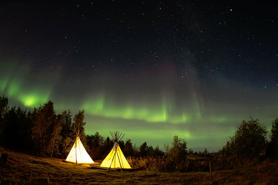 dois, branco, tendas de tipi, verde, céu, acampamento, noite, estrelas, bosques, floresta