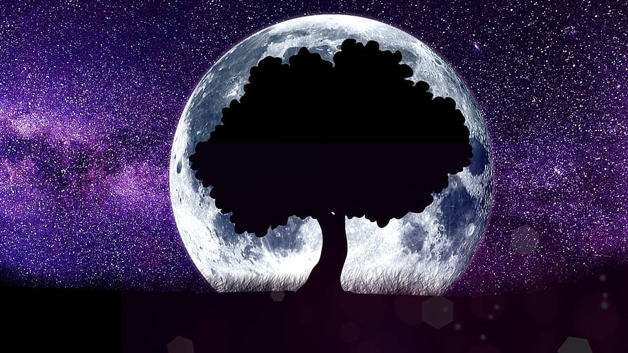 silhouette, tree, behind, moon illustration, moon, astronomy, no one, planet, science, space
