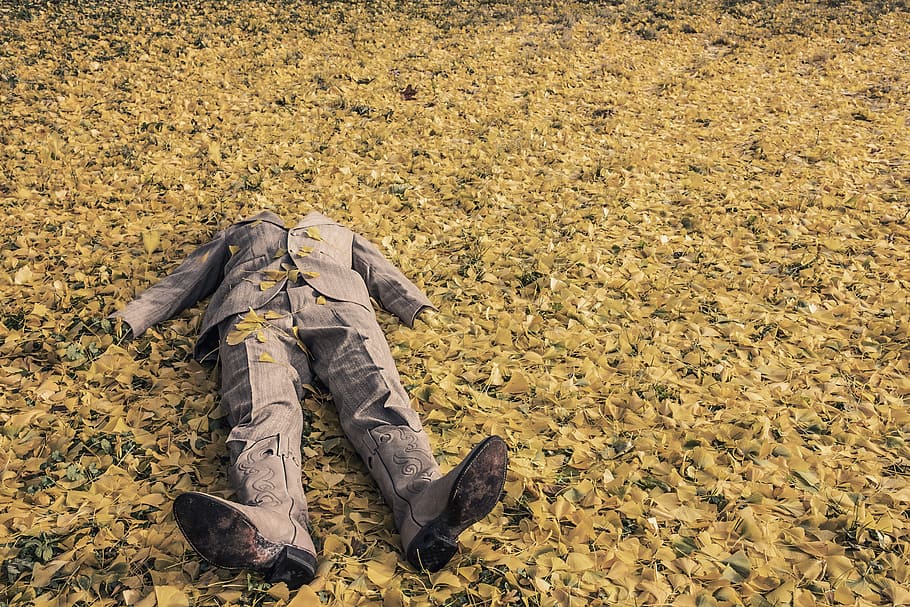 gray, suit, cowboy boots, dried, leaves, boots on, people, nature, whimsical, lazy