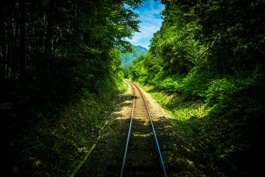 estrada de ferro entre árvores, estrada de ferro, faixa, verde, árvores, plantas, natureza, viagens, ao ar livre, montanha