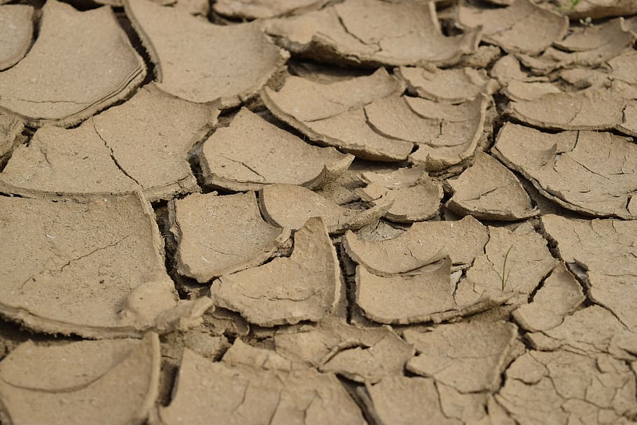 干ばつ, 砂漠, 砂, 乾燥, 土, 泥, 自然, 土地, 乾燥気候, 背景