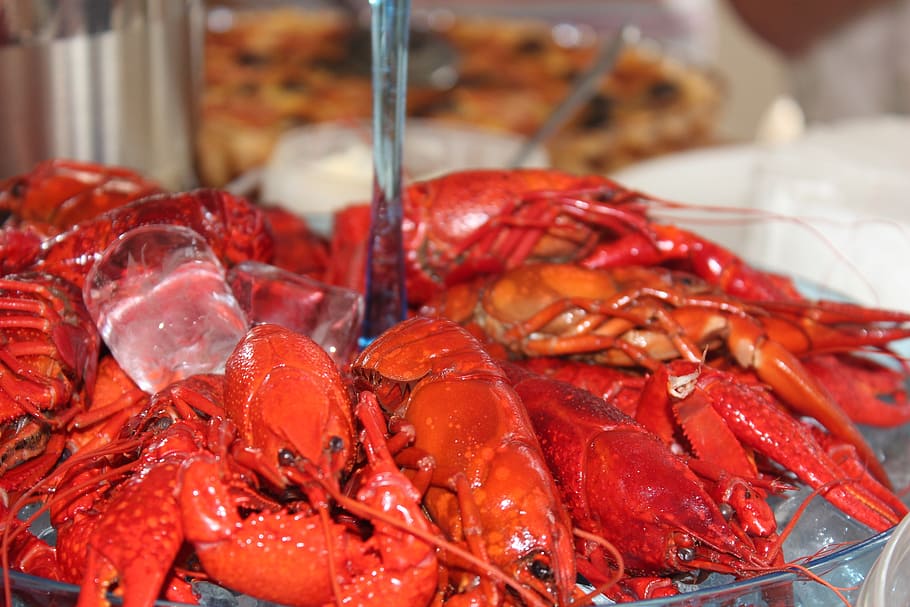 crayfish, fest, chills, canker, red, barrel, the organizing, crustaceans, seafood, crayfish party
