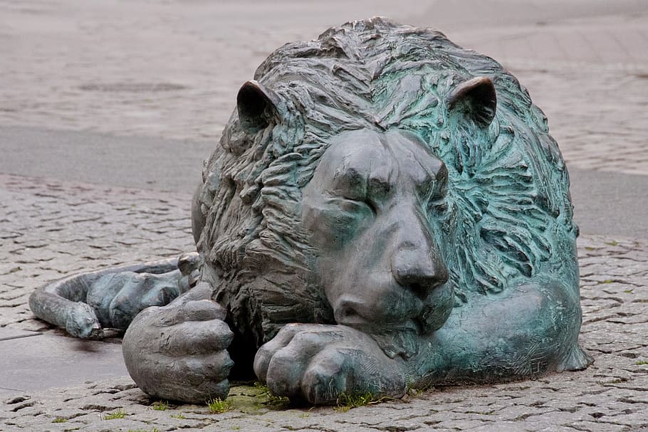 Lion, Gdansk, Gdańsk, Trójmiasto, Poland, lion gdansk, brown, dream, the statue of, animals in the wild