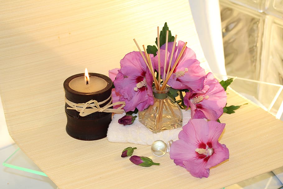 purple, flower, beige, candle, wellness, fragrance, blossom, bloom, pink, ayurveda