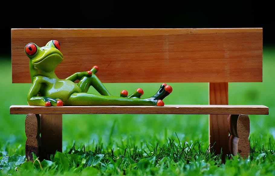 frog, bank, bench, relaxed, figure, funny, rest, relaxation, lying, animal
