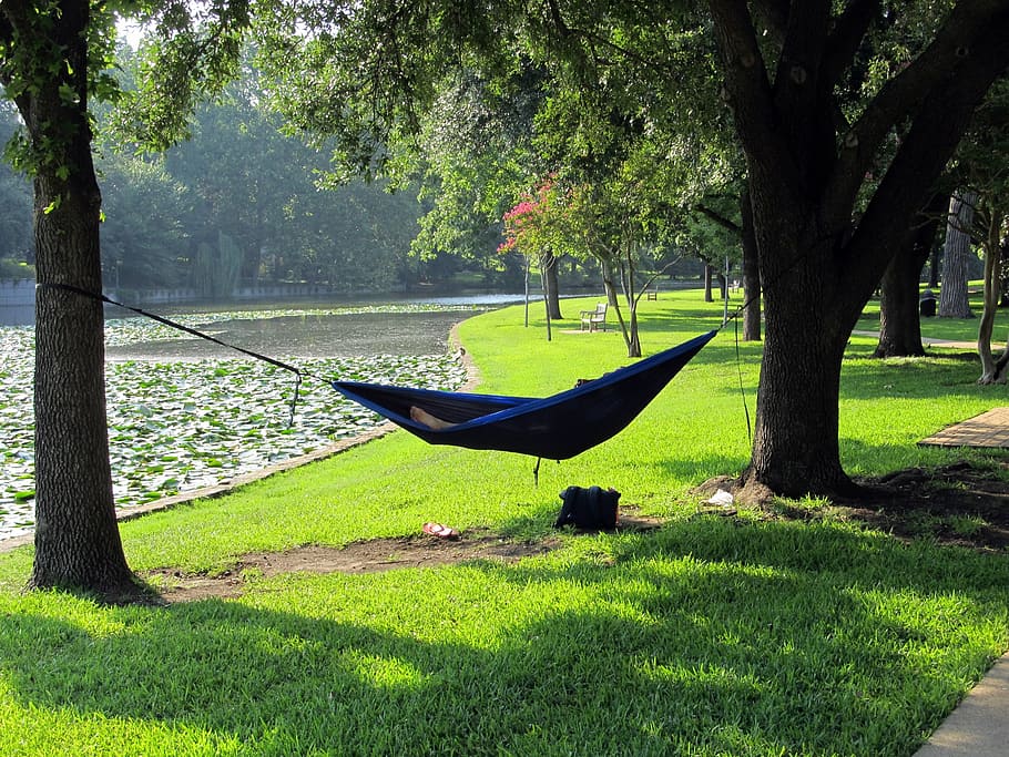 persona, acostado, azul, hamaca, rodeado, árboles, arroyo, siesta, descansando, pacífico