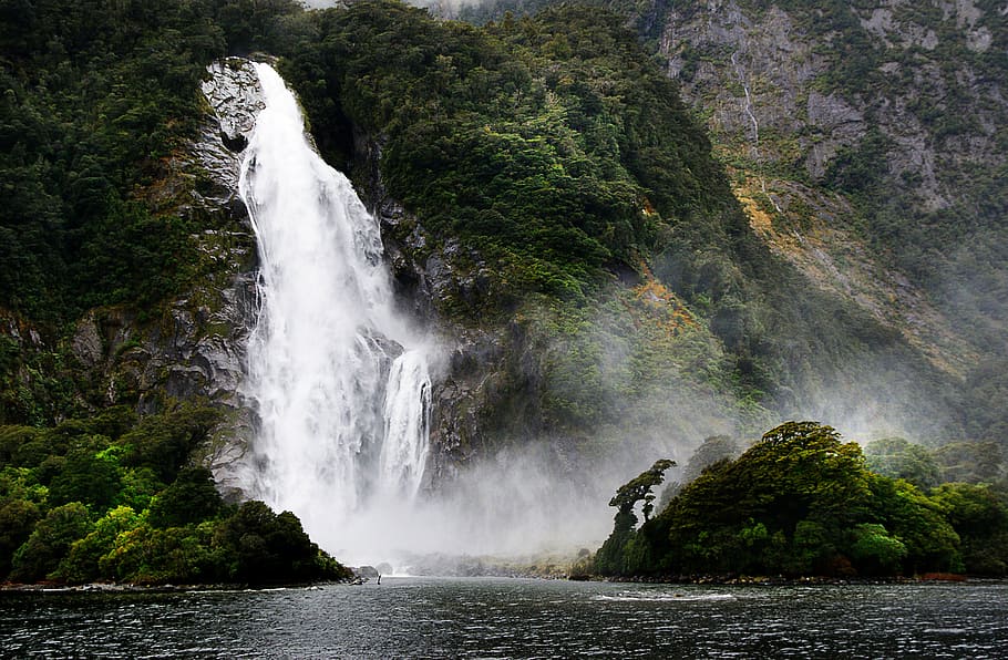Bowen Falls, Milford Sound, NZ, waterfalls during daytime, water, beauty in nature, scenics - nature, motion, waterfall, plant