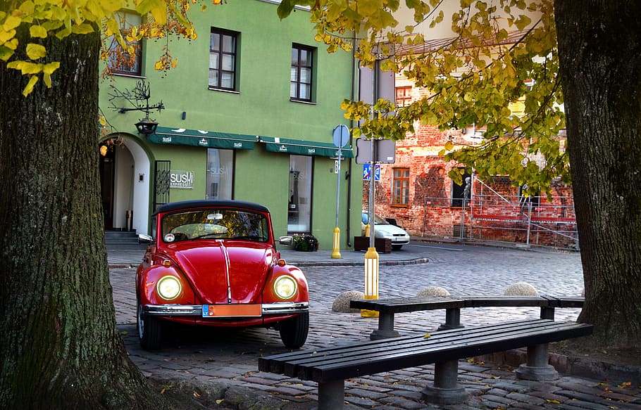 red, volkswagen beetle coupe, parked, gray, tree trunk, black, concrete, bench, daytime, beetle car