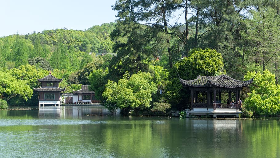 nature, waters, wood, tree, summer, pavilions, small pavilion, lake, west lake, spring