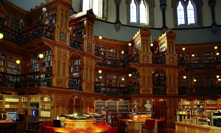 biblioteca de madeira marrom, biblioteca, canadá, ottawa, congresso, sala grande, cidade, dentro de casa, arquitetura, livro