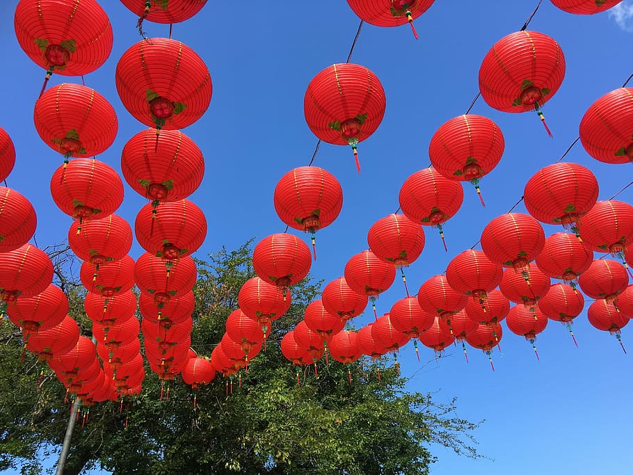 taichung park, lantern festival, 燈 long, hanging, lantern, chinese lantern, lighting equipment, red, chinese lantern festival, low angle view