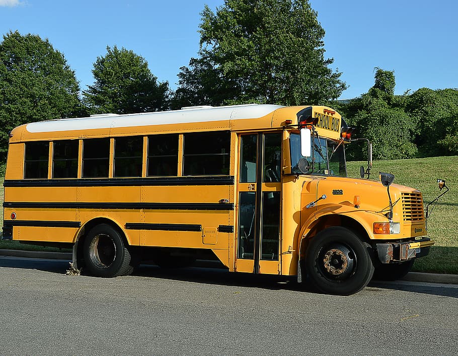 amarelo, árvores, américa, ônibus escolar, ônibus, educação, terra veículo, transporte, modo de transporte, veículo terrestre