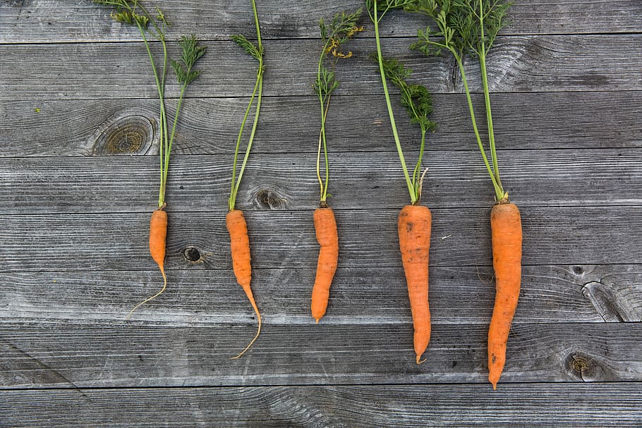 closeup, five, orange, carrots, grey, wooden, surface, vegetables, healthy, food