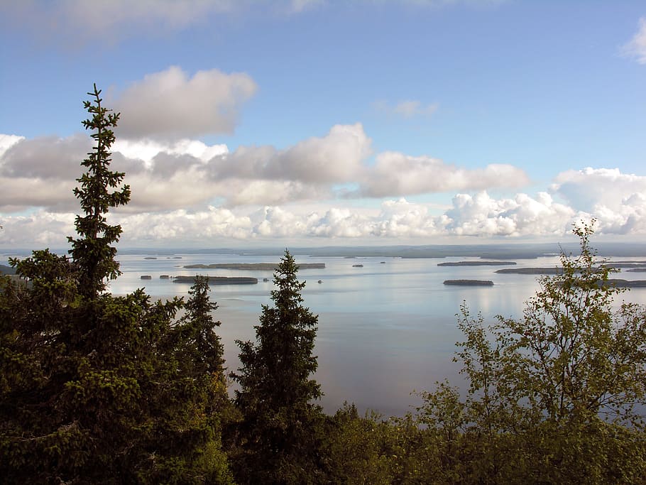 Finland, Koli, Pielinen, Lake, national landscape, summer, clouds, cloud - sky, sky, nature