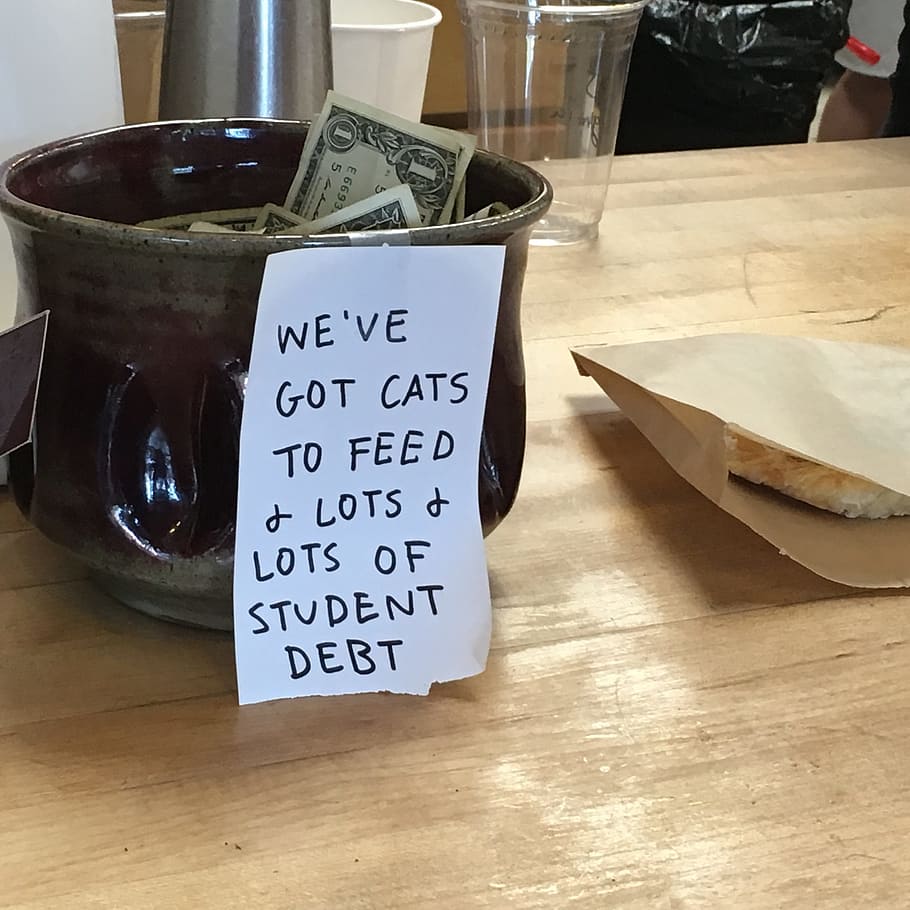 we'eve, got, cats, feed, wrote, paper, Tip Jar, Coffeeshop, Tips, Student Debt