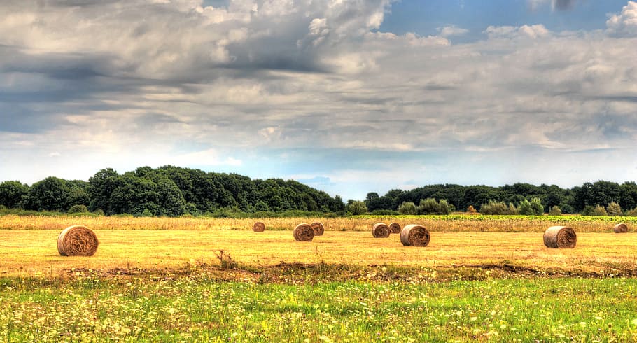 edge, hay bale on field, bale, plant, landscape, field, sky, hay, cloud - sky, land