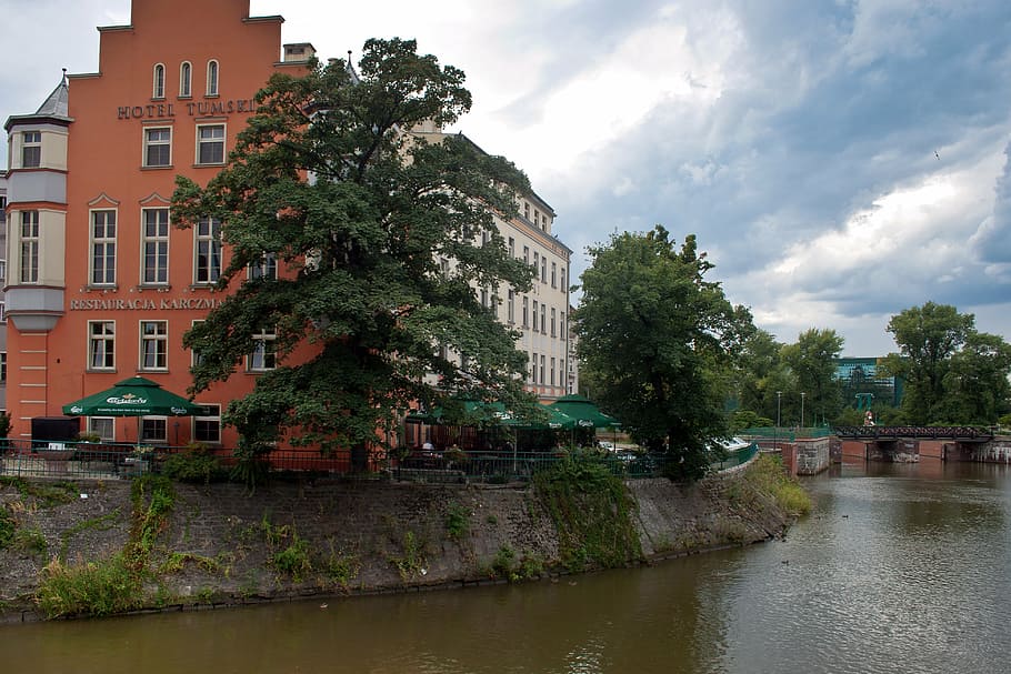 wroclaw, odra, poland, silesia, wrocław, river, water, architecture, built structure, tree
