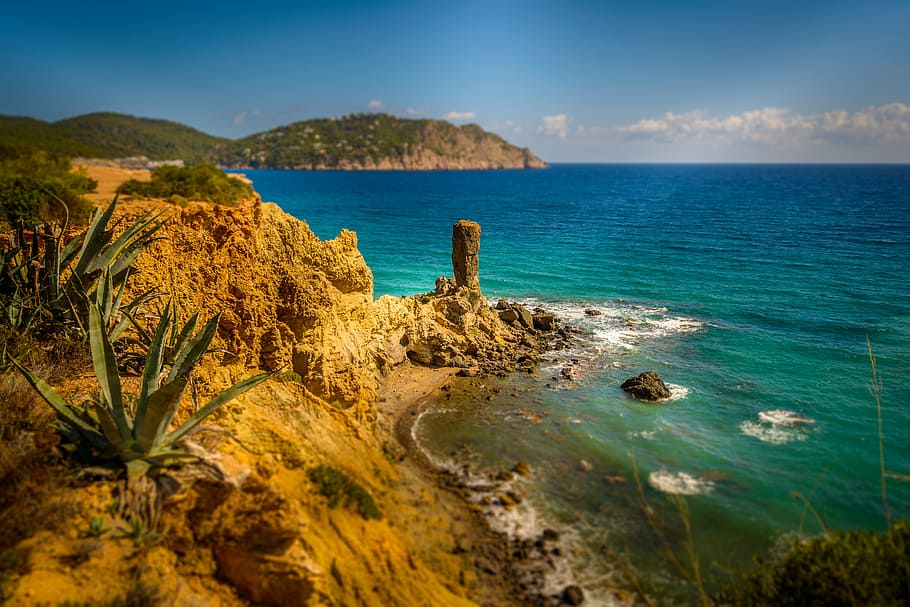 green, snake plant, rock formation, seashore, day time, ibiza, cliffs, holiday, vacation, stack