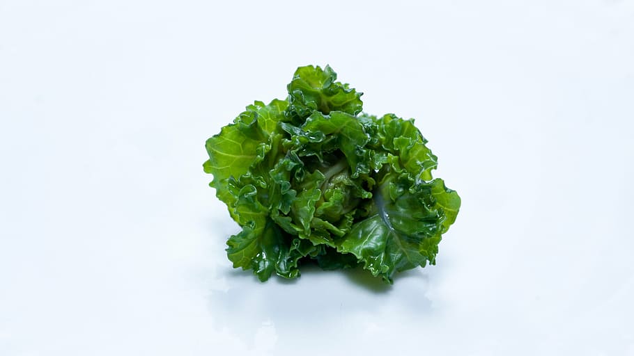 green, lettuce, white, surface, flower sprout, vegetable, brussel sprout, curly cale, green cabbage, borecole