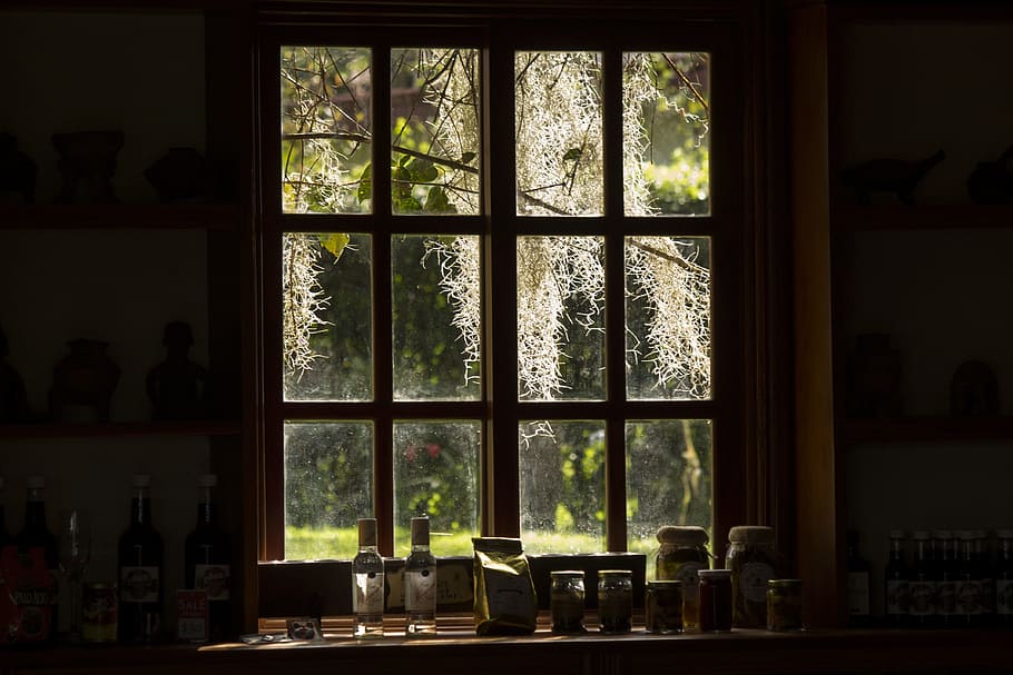 gray, wooden, framed, glass window, contrast, backlight, window, architecture, silhouettes, leaves